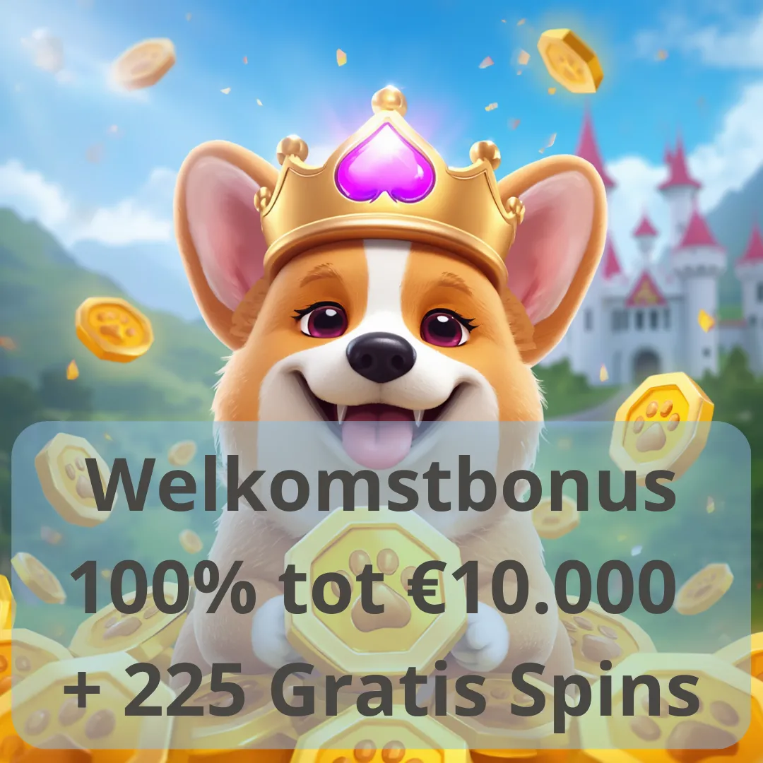 Welkomstbonus 100% tot €10.000 + 225 Gratis Spins bij Corgislot Casino